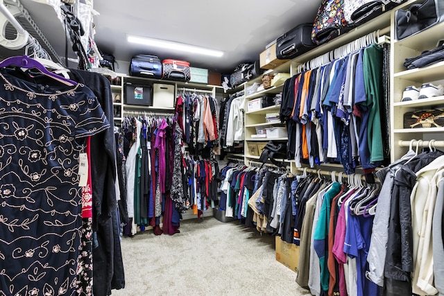 207 Jupiter Woods Dr, Jupiter, FL 33458 - spacious closet with carpet flooring