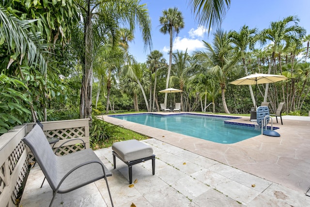 207 Jupiter Woods Dr, Jupiter, FL 33458 - swimming pool with a patio