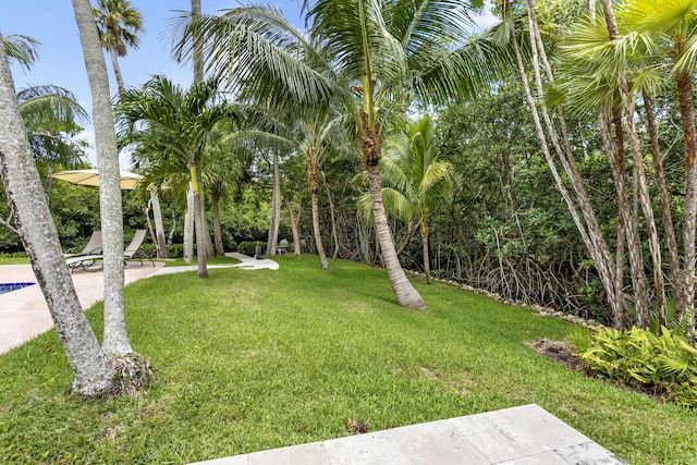 207 Jupiter Woods Dr, Jupiter, FL 33458 - view of grassy yard