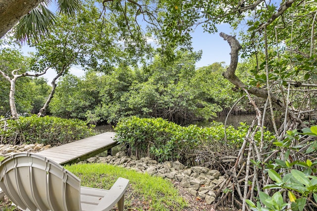 207 Jupiter Woods Dr, Jupiter, FL 33458 - view of yard