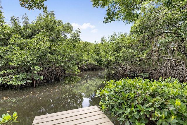 207 Jupiter Woods Dr, Jupiter, FL 33458 - view of dock