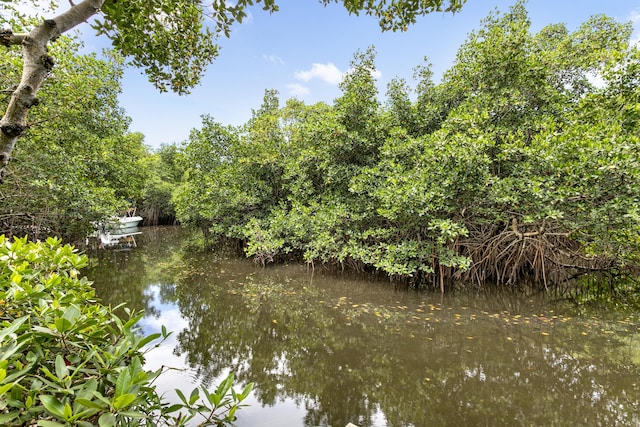 207 Jupiter Woods Dr, Jupiter, FL 33458 - water view