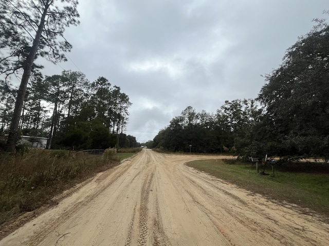 TBD Susan St, Interlachen, FL 32148