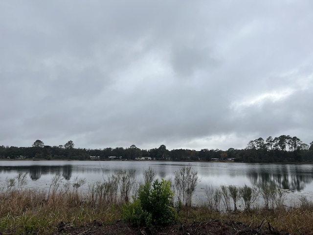 TBD Susan St, Interlachen, FL 32148