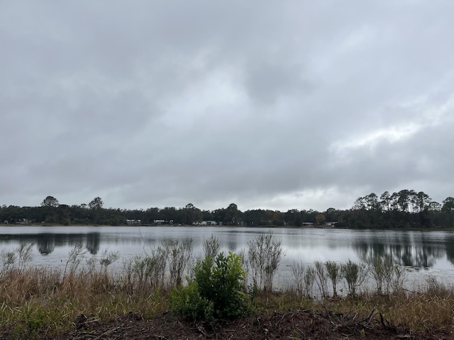 TBD Susan St, Interlachen, FL 32148