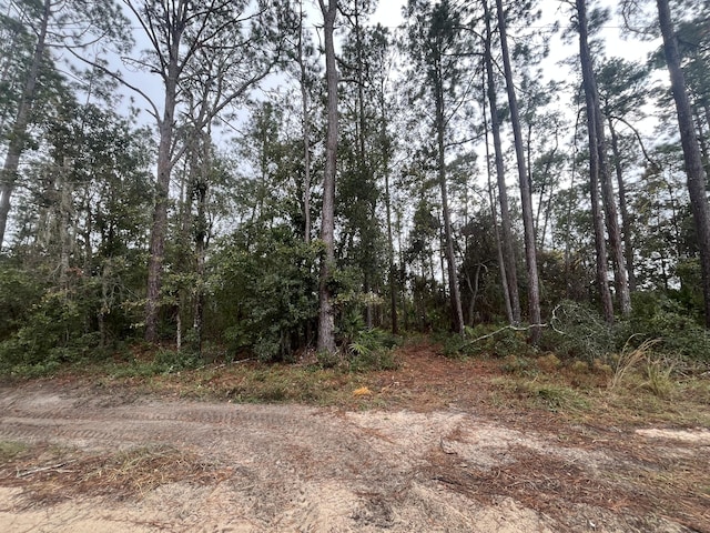 TBD Susan St, Interlachen, FL 32148