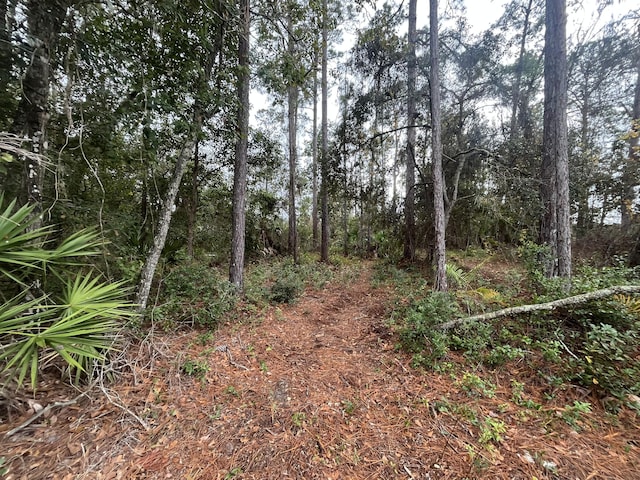 TBD Susan St, Interlachen, FL 32148