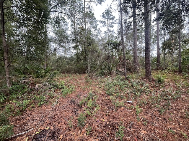 TBD Susan St, Interlachen, FL 32148