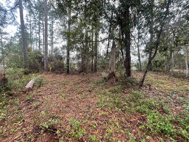 TBD Susan St, Interlachen, FL 32148