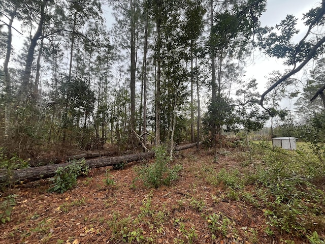 TBD Susan St, Interlachen, FL 32148