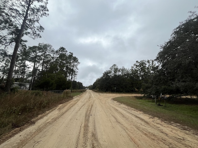 TBD Susan St, Interlachen, FL 32148