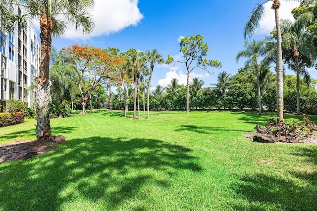 6662 Boca Del Mar Dr Unit 118, Boca Raton, FL 33433 - view of green lawn with view of wooded area