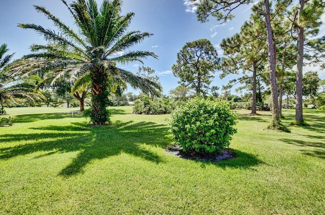 2 Fairway Dr, Boynton Beach, FL 33436 - view of grassy yard