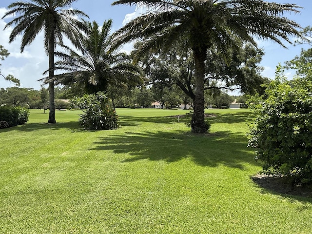 2 Fairway Dr, Boynton Beach, FL 33436 - view of green lawn