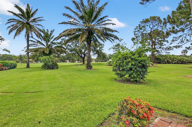 2 Fairway Dr, Boynton Beach, FL 33436 - view of green lawn