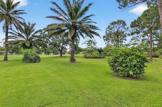 2 Fairway Dr, Boynton Beach, FL 33436 - view of grassy yard
