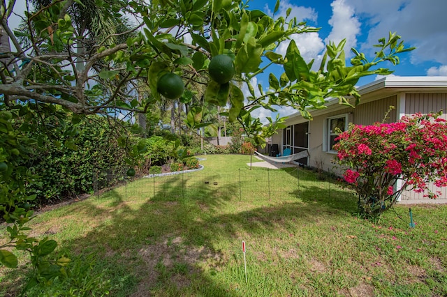 5064 El Claro Cir, West Palm Beach, FL 33415 - view of yard