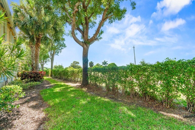 12480 Crystal Pointe Dr Unit 102, Boynton Beach, FL 33437 - view of yard
