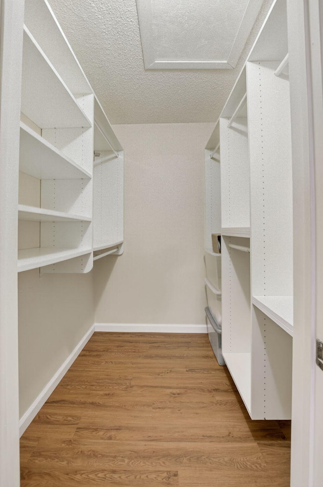 9521 Boca Cove Cir Unit 508, Boca Raton, FL 33428 - walk in closet with wood finished floors and attic access