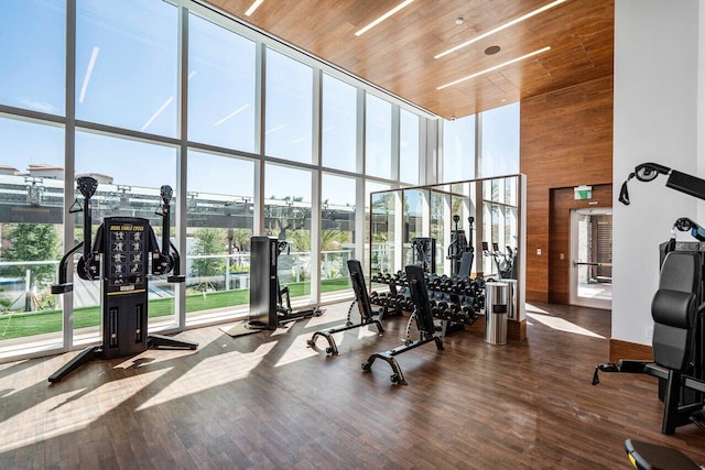 200 SE Mizner Blvd Unit 514, Boca Raton, FL 33432 - workout area featuring a high ceiling, a wall of windows, wood finished floors, and wooden walls