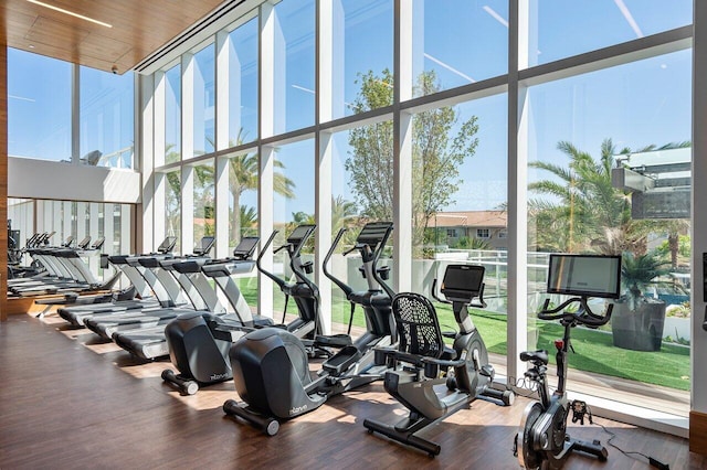 200 SE Mizner Blvd Unit 514, Boca Raton, FL 33432 - exercise room featuring a wall of windows, a high ceiling, and wood finished floors