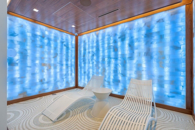 200 SE Mizner Blvd Unit 514, Boca Raton, FL 33432 - sauna featuring baseboards
