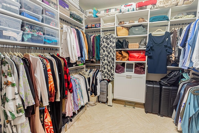 12736 SW Cattleya Ln, Port Saint Lucie, FL 34987 - view of spacious closet