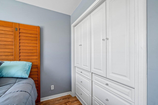 7141 Charleston Point Dr, Lake Worth, FL 33467 - bedroom with dark wood-style flooring and a closet