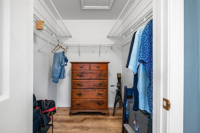 7141 Charleston Point Dr, Lake Worth, FL 33467 - walk in closet featuring wood finished floors