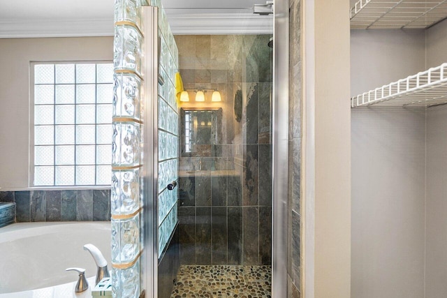 7141 Charleston Point Dr, Lake Worth, FL 33467 - full bathroom with a shower stall, a bath, crown molding, and plenty of natural light