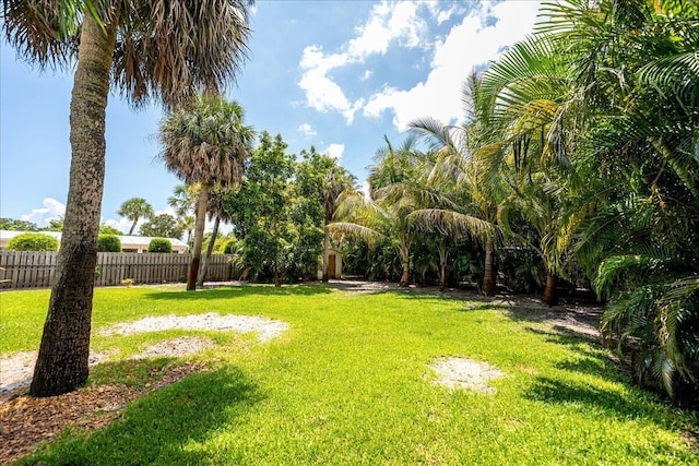 804 SE Riverside Dr, Stuart, FL 34994 - view of yard