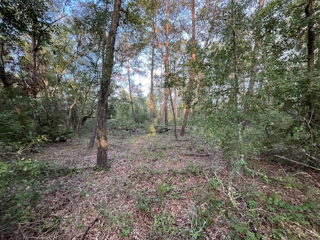 TBD Twin Lakes Rd, Interlachen, FL 32148