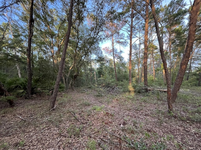 TBD Twin Lakes Rd, Interlachen, FL 32148