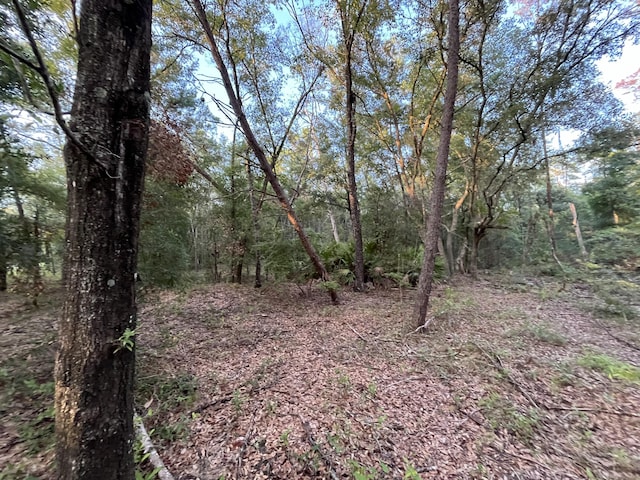 TBD Twin Lakes Rd, Interlachen, FL 32148