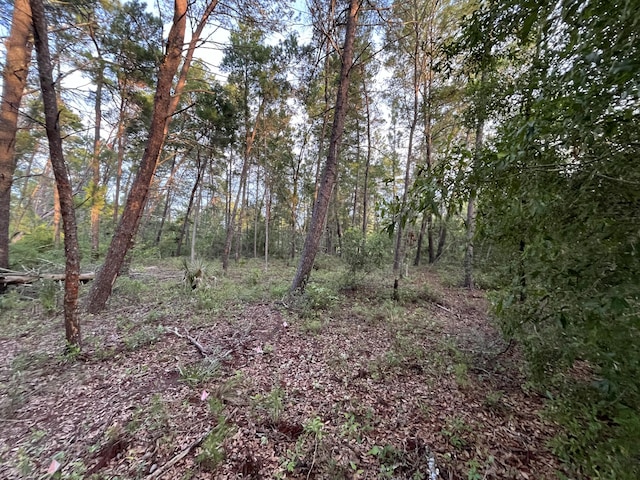 TBD Twin Lakes Rd, Interlachen, FL 32148