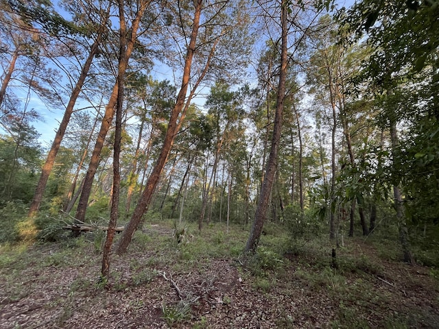 TBD Twin Lakes Rd, Interlachen, FL 32148