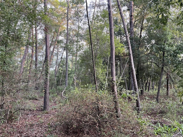 TBD Twin Lakes Rd, Interlachen, FL 32148