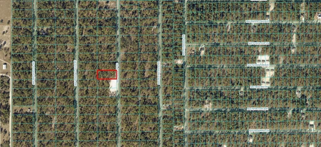 TBD NW Tree Top Rd, Dunnellon, FL 34431