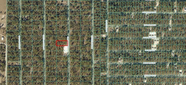 TBD NW Tree Top Rd, Dunnellon, FL 34431
