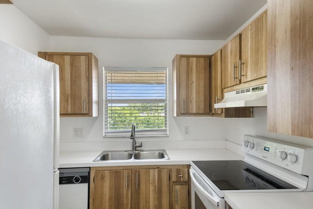 2755 W Atlantic Ave Unit C 212, Delray Beach, FL 33445 - kitchen featuring white appliances, under cabinet range hood, light countertops, and brown cabinets
