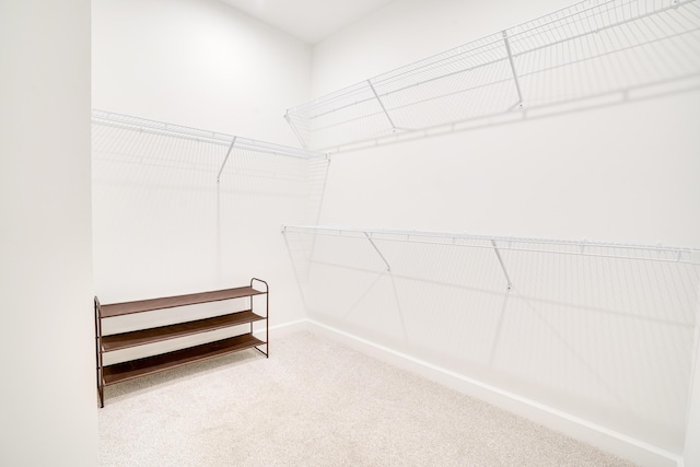 11695 SW Viridian Blvd, Port Saint Lucie, FL 34987 - walk in closet featuring carpet floors