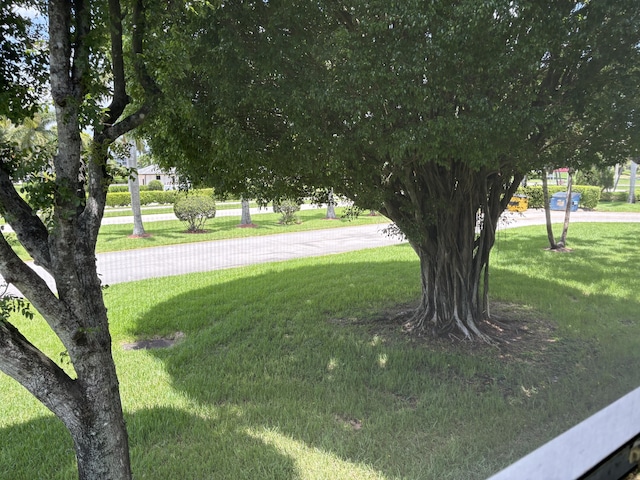 613 Fanshaw O Unit 613O, Boca Raton, FL 33434 - view of green lawn