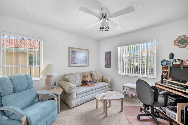 9976 Seacrest Cir Unit D, Boynton Beach, FL 33437 - office space featuring carpet flooring, plenty of natural light, ceiling fan, and a textured ceiling