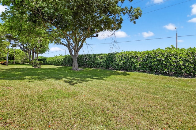 13984 Via Flora Unit B, Delray Beach, FL 33484 - view of grassy yard