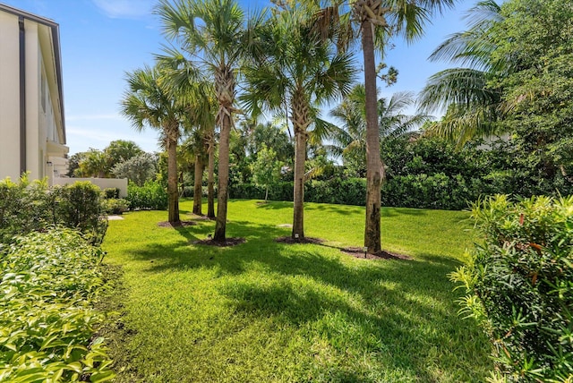 6161 Rancho Ln, West Palm Beach, FL 33415 - view of green lawn