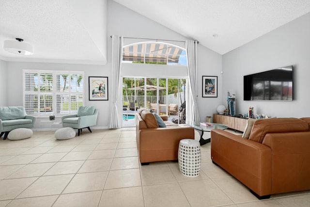 5086 Prairie Dunes Village Cir, Lake Worth, FL 33463 - living area with light tile patterned floors, high vaulted ceiling, and a textured ceiling