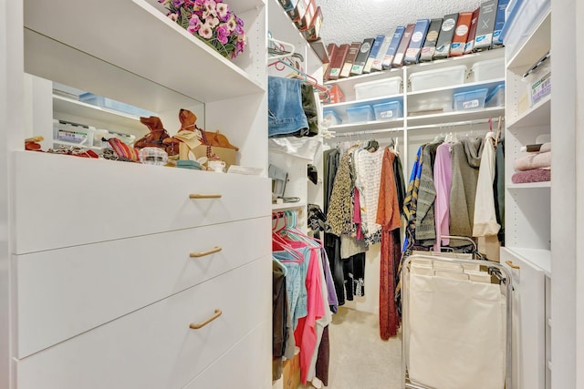 10777 W Sample Rd Unit 207, Coral Springs, FL 33065 - spacious closet with carpet flooring