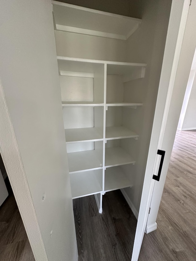 226 SW Statler Ave, Port Saint Lucie, FL 34984 - view of closet