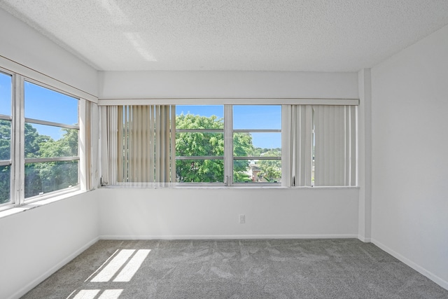 9700 Sunrise Lakes Blvd Unit 305, Sunrise, FL 33322 - carpeted empty room with a textured ceiling and baseboards