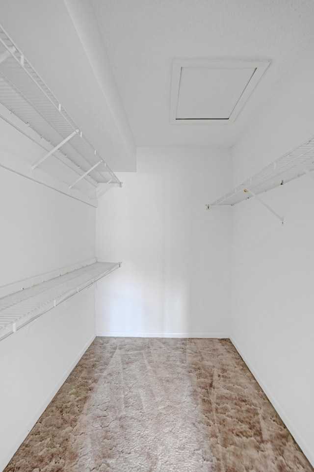 9700 Sunrise Lakes Blvd Unit 305, Sunrise, FL 33322 - walk in closet featuring carpet floors